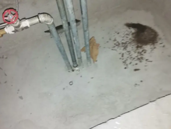 烟台市卫生间测漏水价格明细