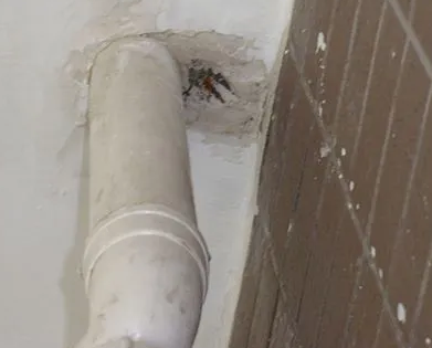 烟台市漏水检测哪家好